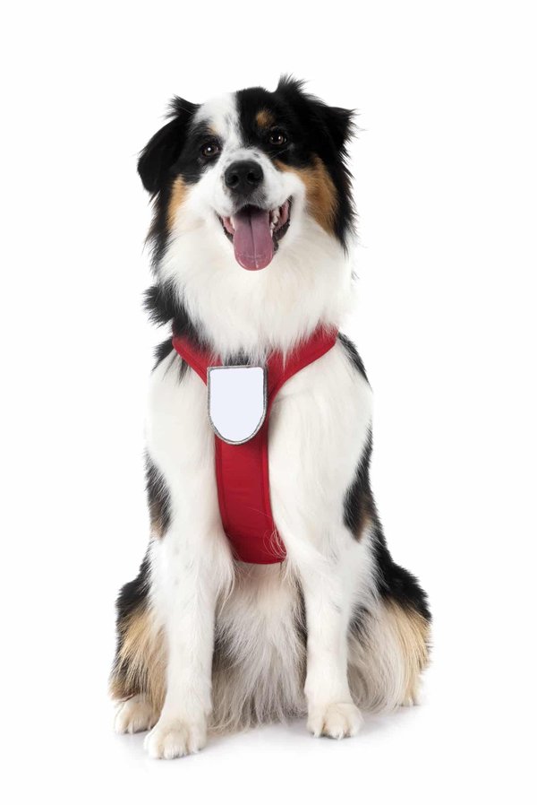 Comment intégrer un système audio de haute qualité sur une moto ?